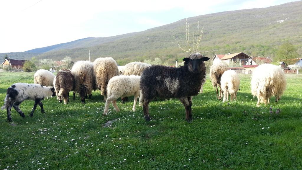 Gacka Valley Licko Lesce Exteriör bild