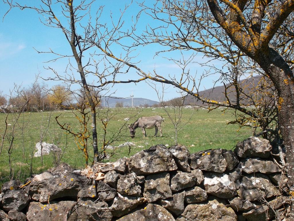Gacka Valley Licko Lesce Exteriör bild